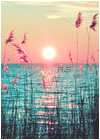 Summer avatar holiday 56